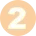bullet-2